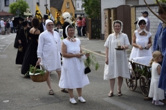 Wallstadt_1250J_2016-07-16_Foto Wirth_Dr. Klaus (77)