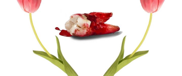 „Der Gott des Gemetzels“ – Theaterstück, Theater ImPuls Mannheim e.V. „Der Gott des Gemetzels“ – Theaterstück, Theater ImPuls Mannheim e.V.